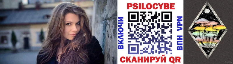 mega как зайти  Курчалой  Галлюциногенные грибы Cubensis 