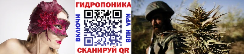 что такое   Курчалой  Марихуана AK-47 